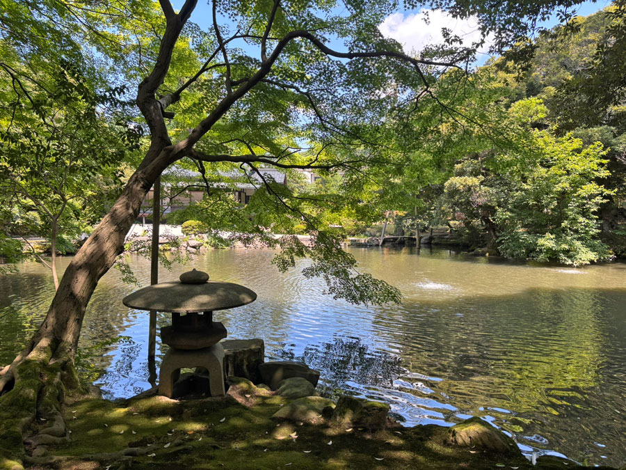 Peaceful view of Shofukaku Garden next to the D.T. Suzuki Museum